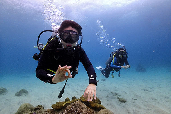 jakarta ocean explorer scuba diving