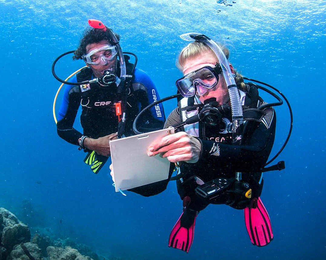 diving course